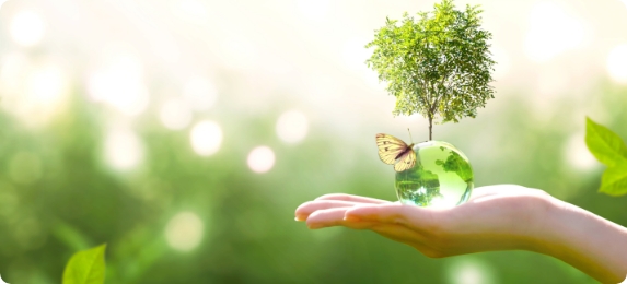 Respect de l'environnement